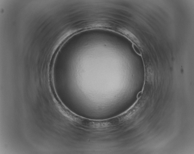 X0000074931039200609081321