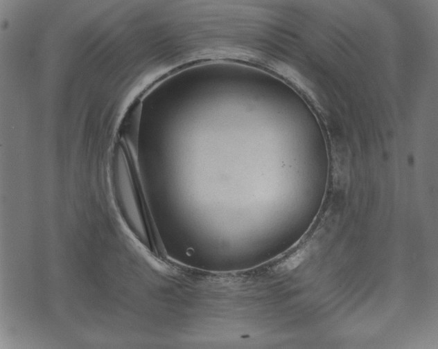 X0000074931040200609081321