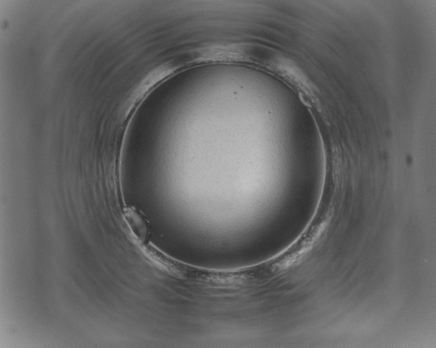 X0000074931041200609081321