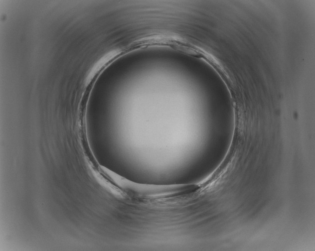 X0000074931042200609081321