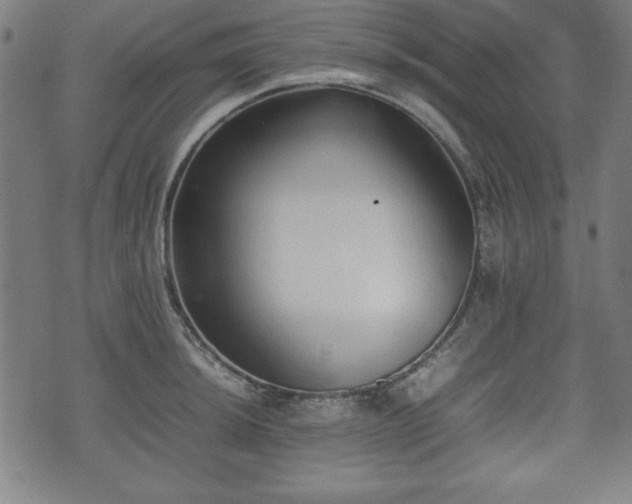 X0000074931044200609081321