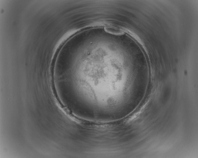 X0000074931045200609081321