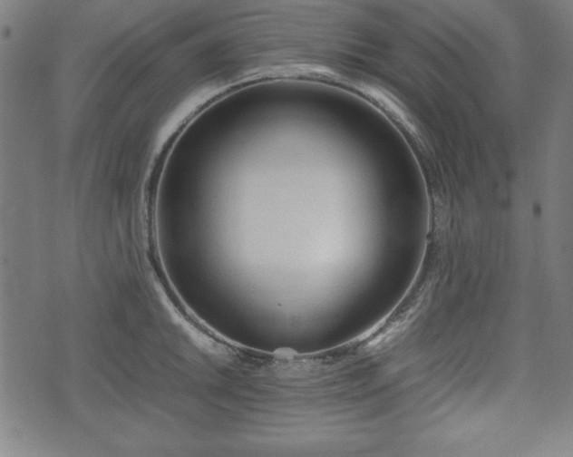 X0000074931046200609081321