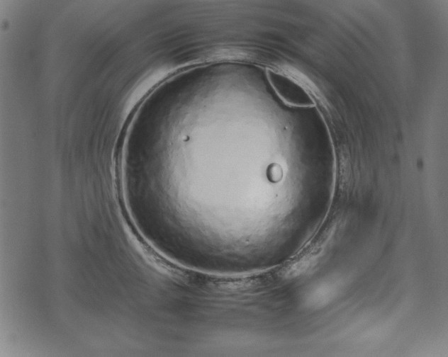 X0000074931047200609081321