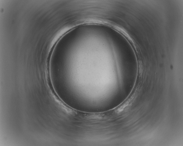 X0000074931048200609081321