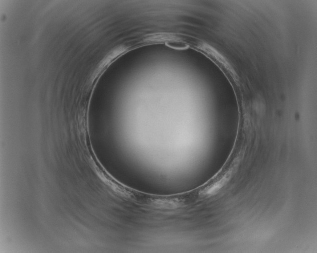 X0000074931049200609081321