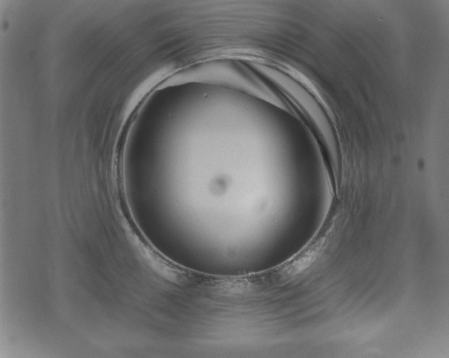 X0000074931050200609081321