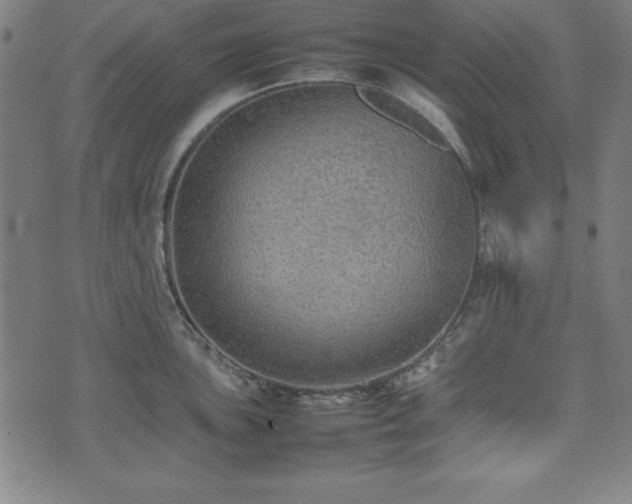 X0000074931051200609081321