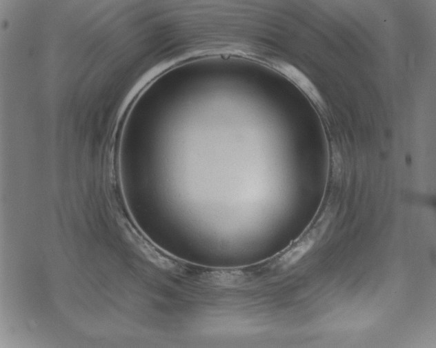 X0000074931052200609081321