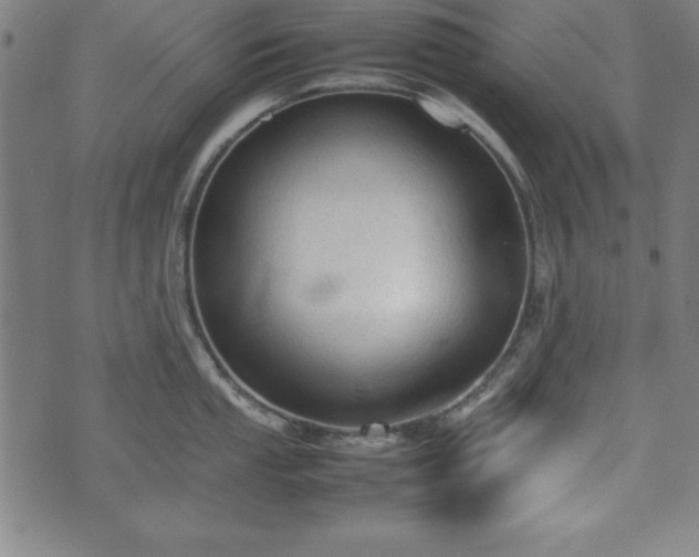 X0000074931053200609081321