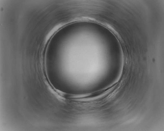 X0000074931054200609081321