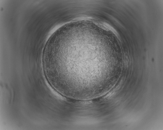 X0000074931055200609081321