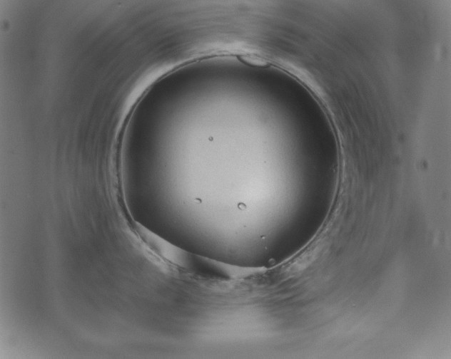 X0000074931056200609081321