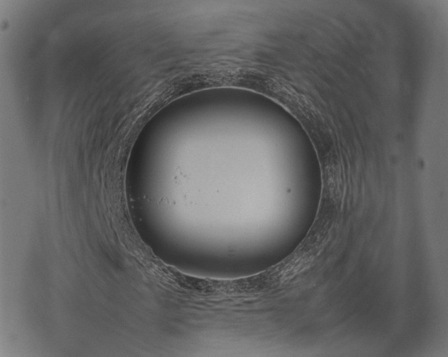 X0000074931057200609081320