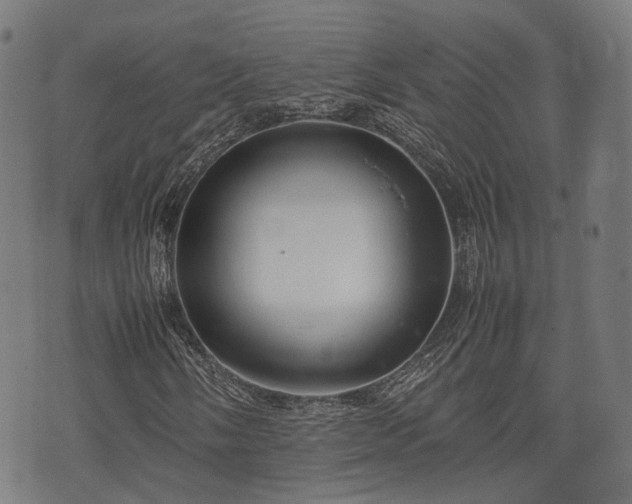 X0000074931058200609081320