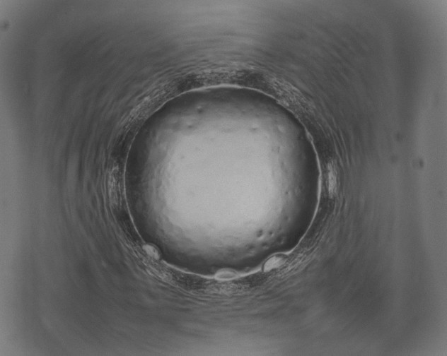 X0000074931059200609081320