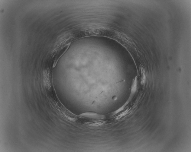 X0000074931060200609081320