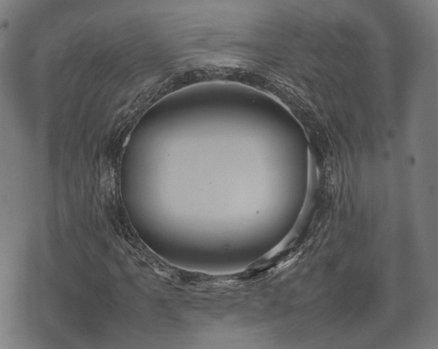 X0000074931061200609081320