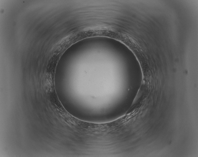 X0000074931062200609081320