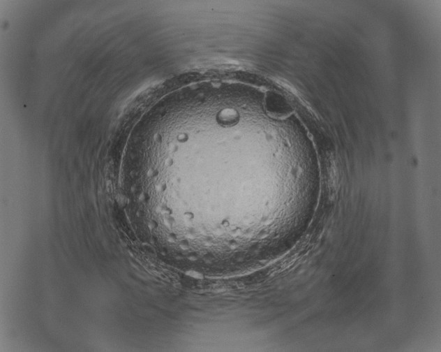 X0000074931063200609081320