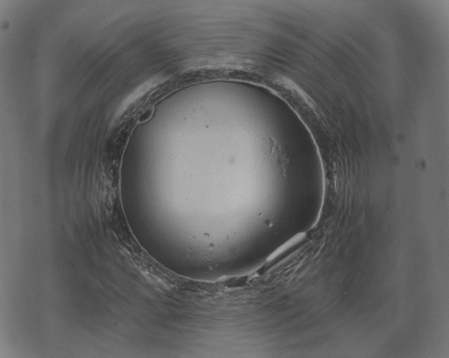 X0000074931064200609081320