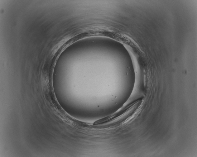 X0000074931065200609081320