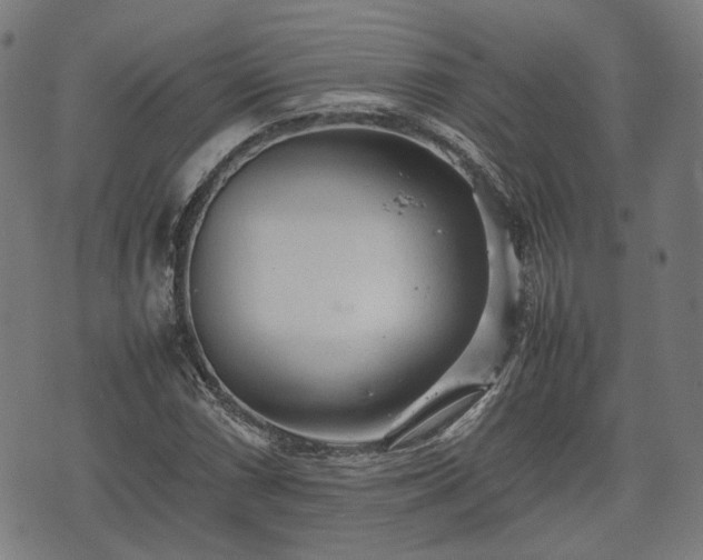 X0000074931066200609081320