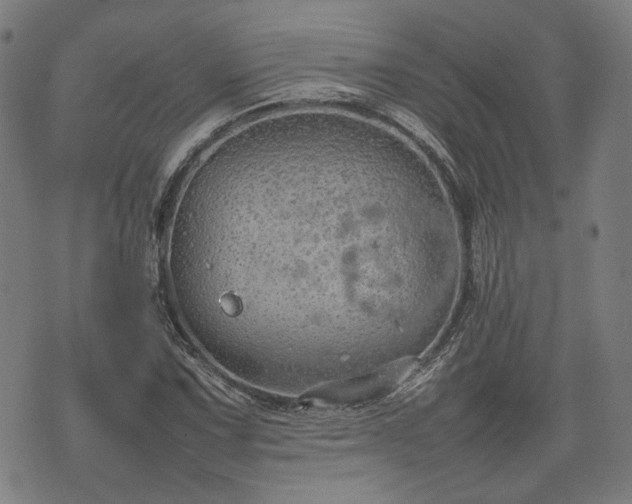 X0000074931067200609081320