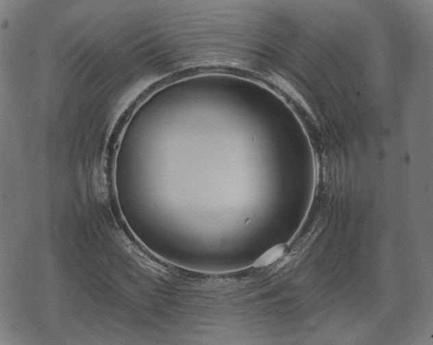 X0000074931068200609081320