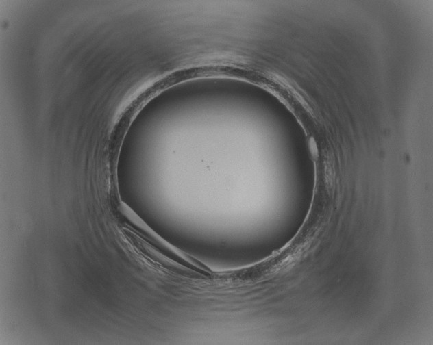 X0000074931069200609081320