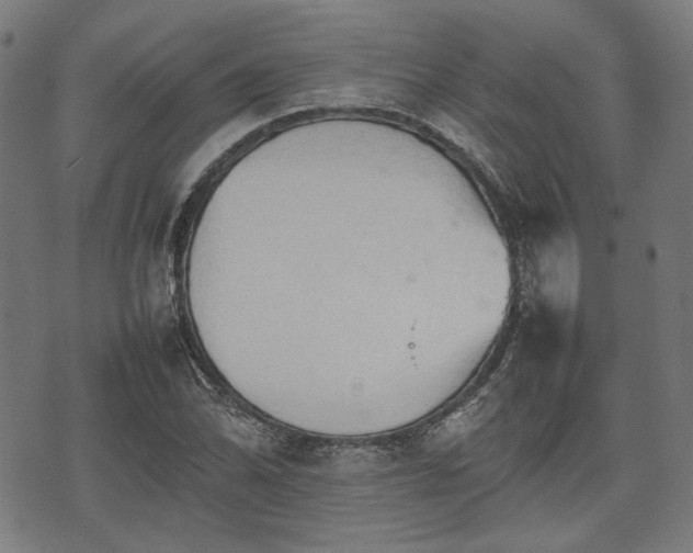 X0000074931070200609081320