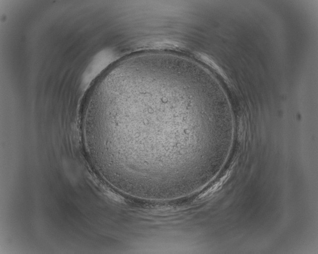 X0000074931071200609081320