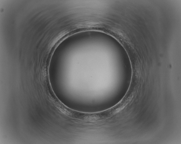 X0000074931073200609081320