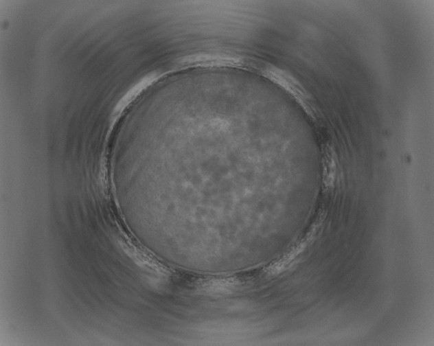 X0000074931074200609081320