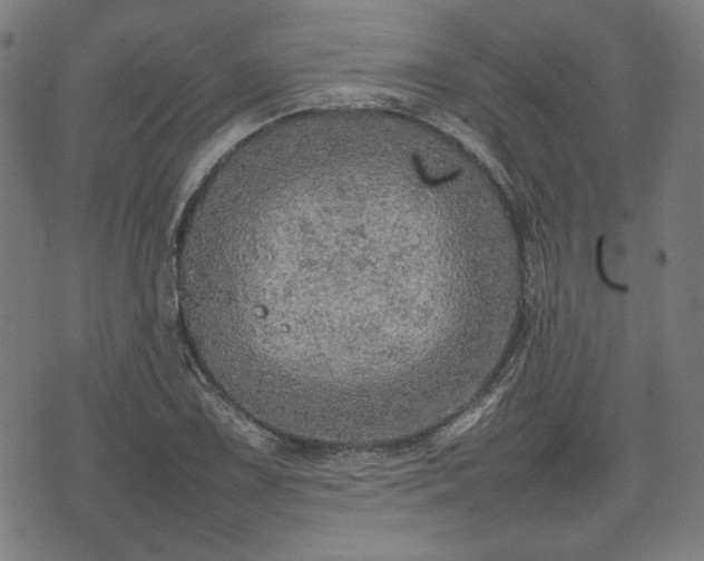 X0000074931075200609081320