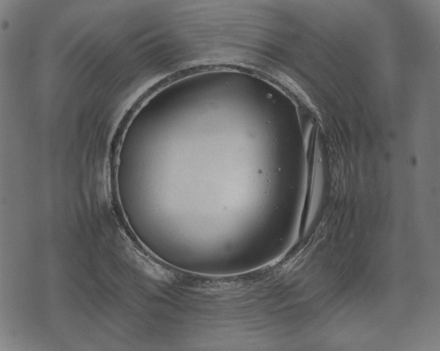 X0000074931076200609081320