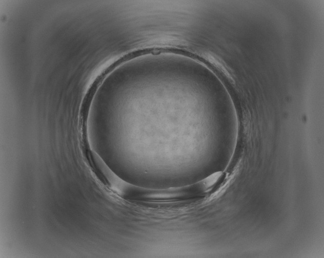 X0000074931077200609081320