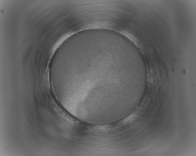 X0000074931078200609081320