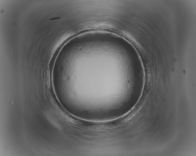 X0000074931079200609081320