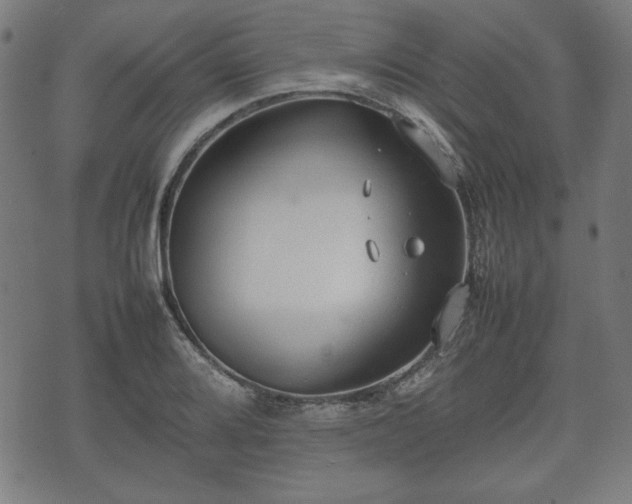 X0000074931080200609081320