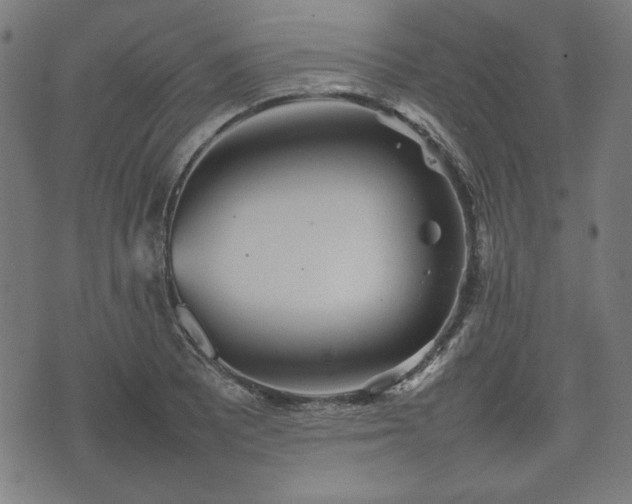 X0000074931081200609081320