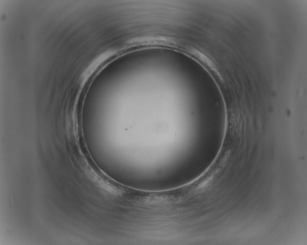 X0000074931082200609081320