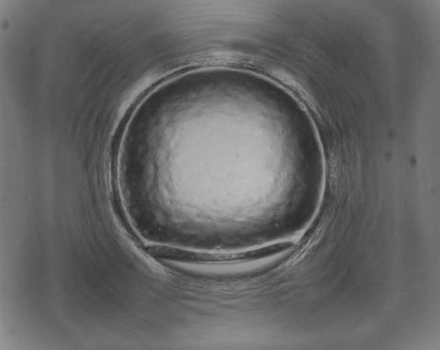 X0000074931083200609081320