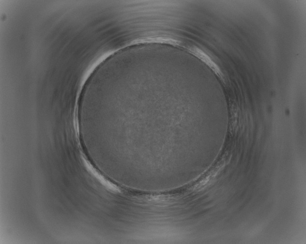 X0000074931084200609081320