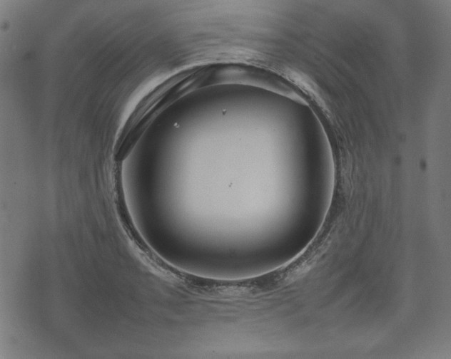 X0000074931085200609081320