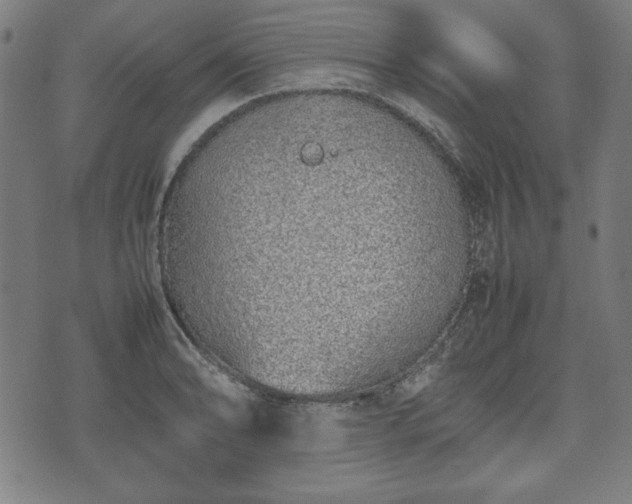 X0000074931086200609081320