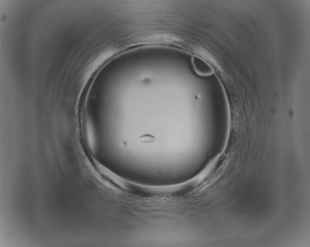 X0000074931087200609081320