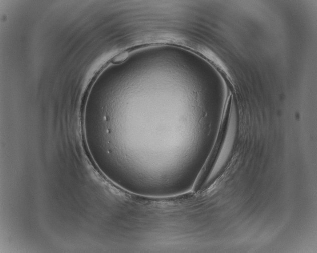 X0000074931088200609081320