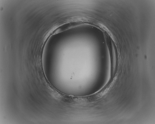 X0000074931089200609081320