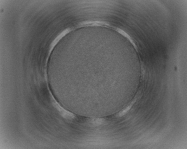 X0000074931090200609081320